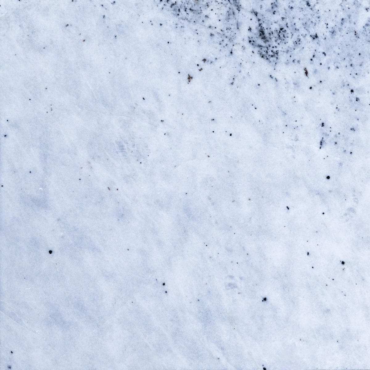 1000300708 چینی نیریز - تصویر 1