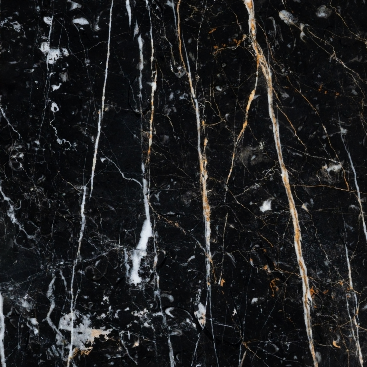 1000300795 مرمریت گلدن بلک2 - تصویر 1